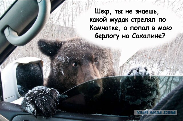 Запуск ракеты "Тополь"