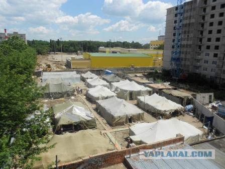 В Краснодаре зреет Кондопога