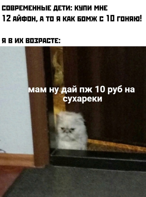 Весёлый полтишок 5.04