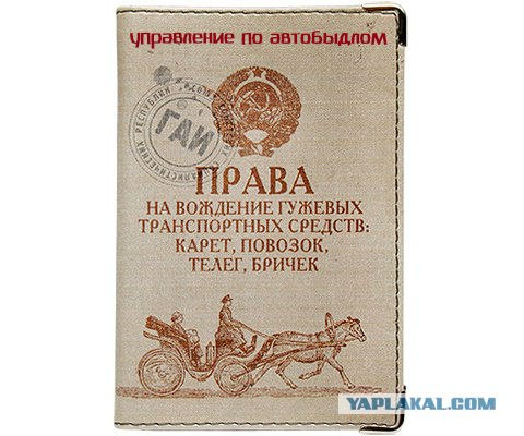 Быдло-летуны из Воронежа...