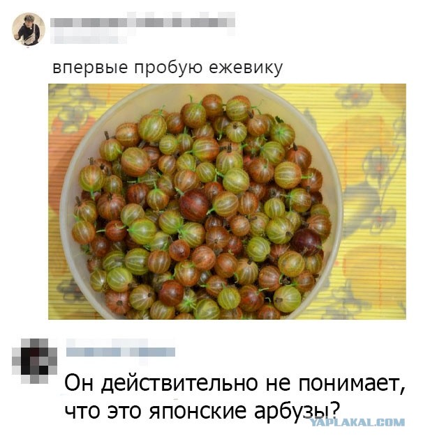 Весёлый полтишок 4.05