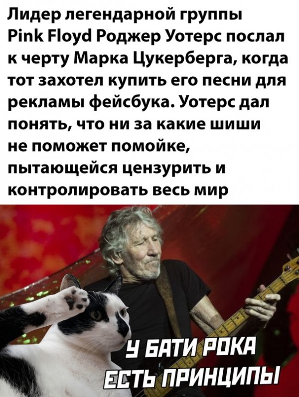 Прикольные и просто красивые картинки 29.06.2021