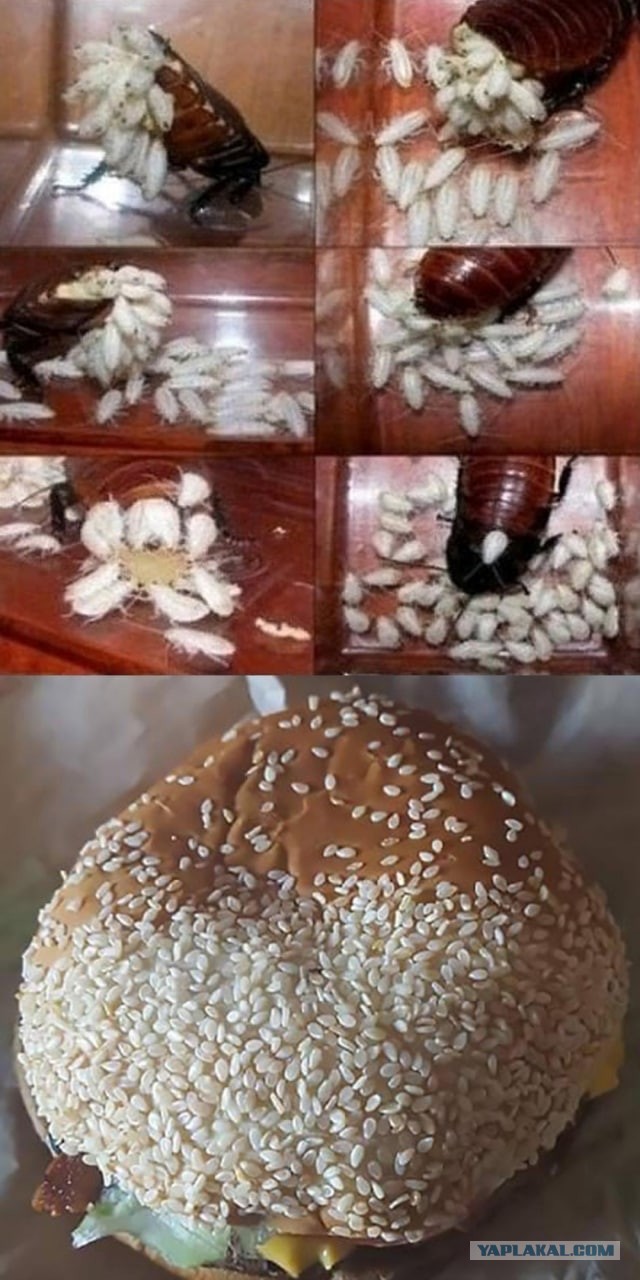 Картинки всякие и аморальные - 9