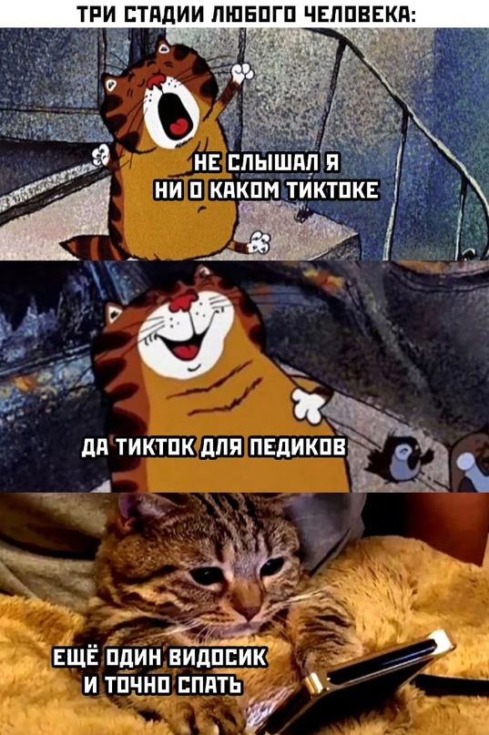 Весёлый полтишок 02.10