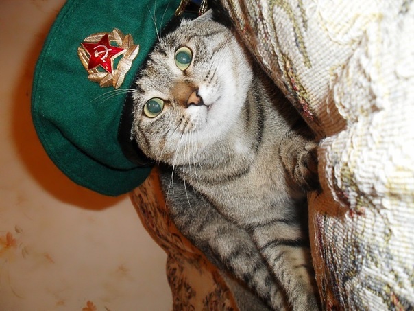 Охотник, которому не нужна лицензия