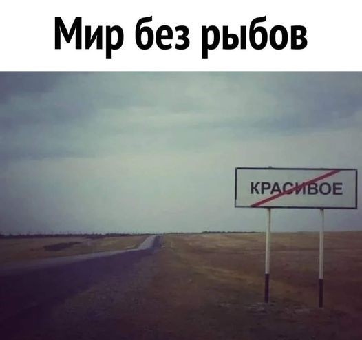 Антикочет