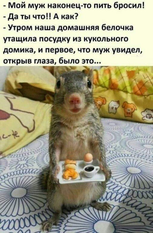 Человек собаке друг и другие картинки и мемы  под настроение
