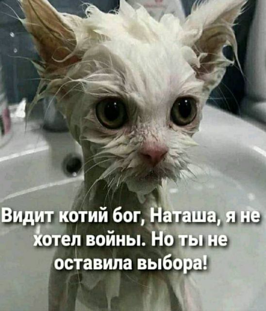 Картинки и буквы 15.07.22