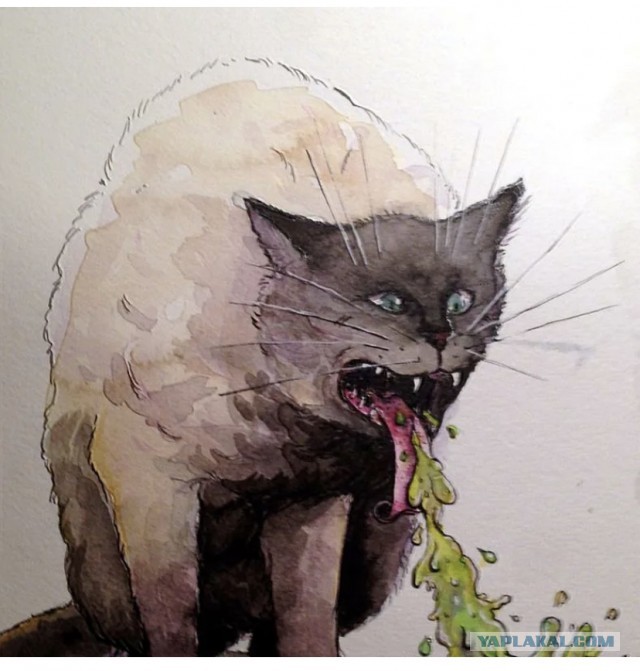 "Идем за вашими прибылями". Байден объявил охоту на российских олигархов, поддерживающих Путина