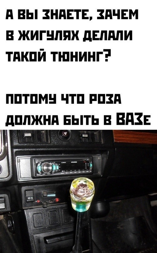 Весёлый полтишок 16.05.22