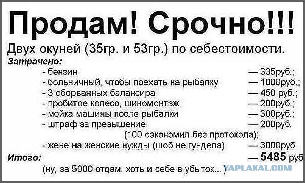 Стоимость лосося сейчас