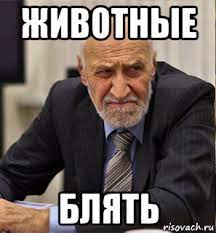 В Нью-Йорке призвали переименовать «оспу обезьян» из-за чувств чернокожих