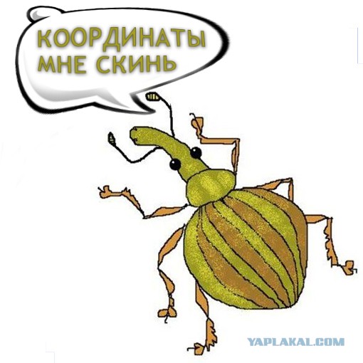 А вот и Украинское зерно...