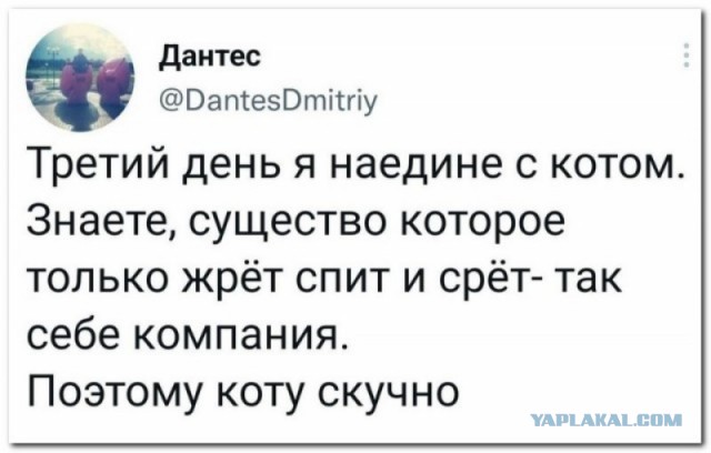 Забавные комментарии из социальных сетей (31.10.22)