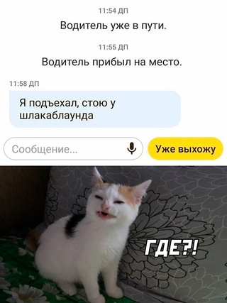 Немного картинок для настроения - 112