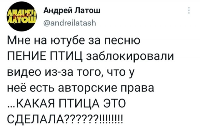 Картинки и мемы для настроения - 125