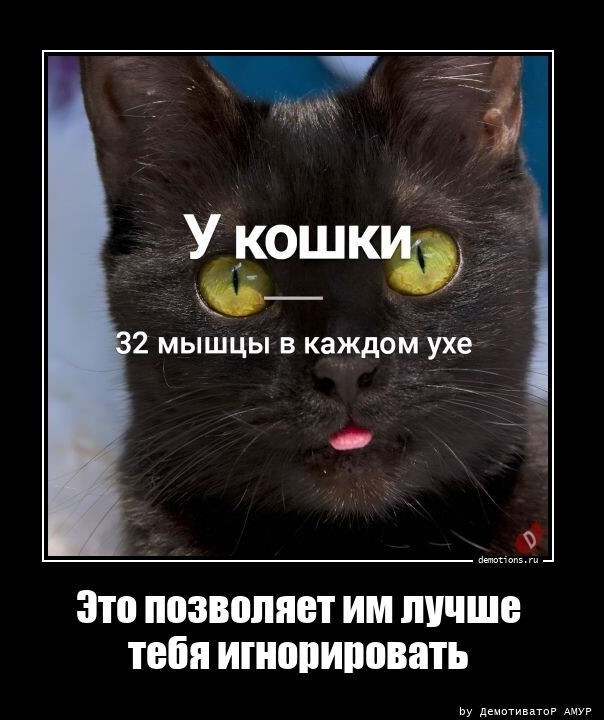 Картинки с надписями 15.01.23