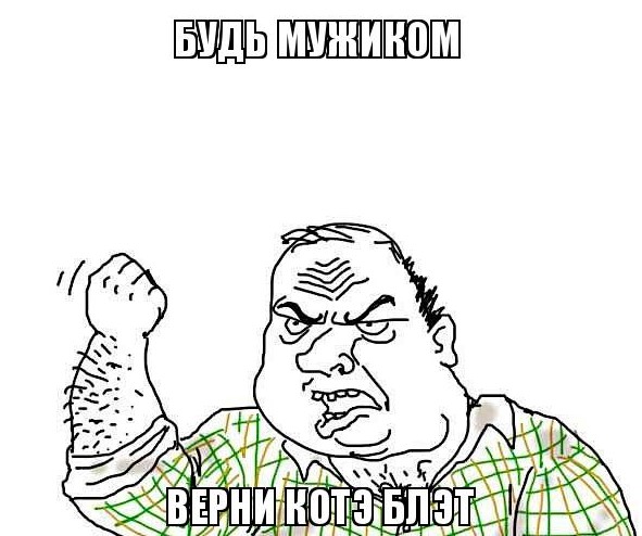 Самое бессердечное ограбление произошло в Кудрово под Петербургом: Неизвестный нагло украл из магазина кота