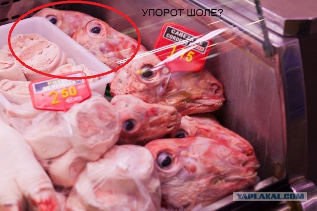 Рынок Бокерия