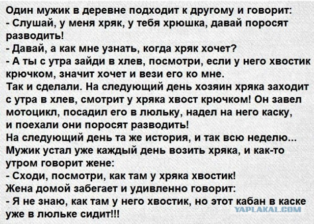 Улыбнись, и листай дальше