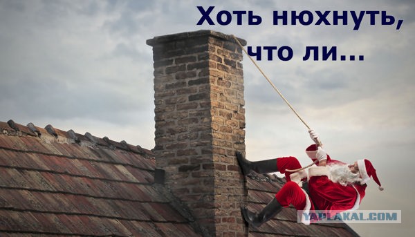 4 тонны наркотиков общей стоимостью более 19 000 000 000 рублей сожгли в огромной печи в Петербурге