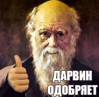ТБ написана кровью...