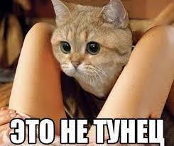Ваша Матильда больше не завоняет этим летом