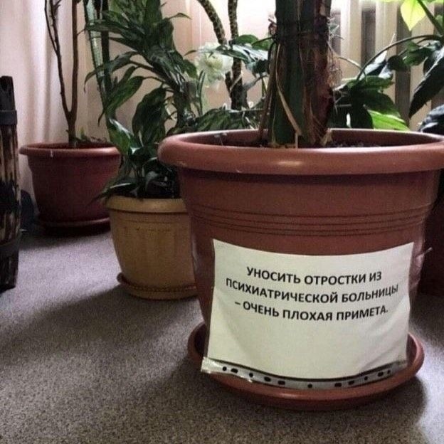 Светлейшая чернуха