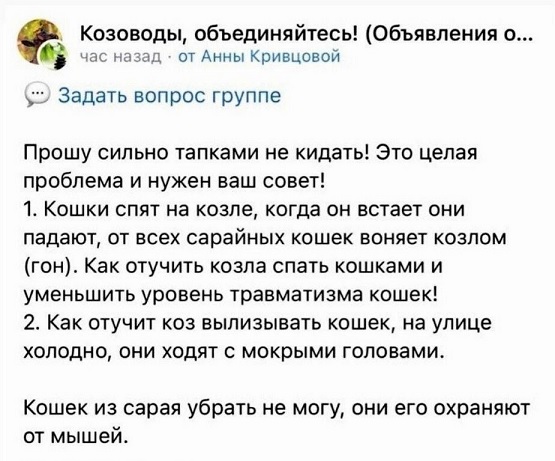 Нуштош 07.02.2025. Так же близко (s3e5)