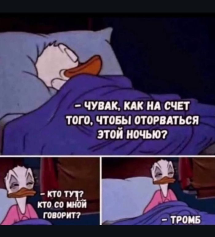 https://s00.yaplakal.com/pics/pics_original/7/4/6/20331647.jpg