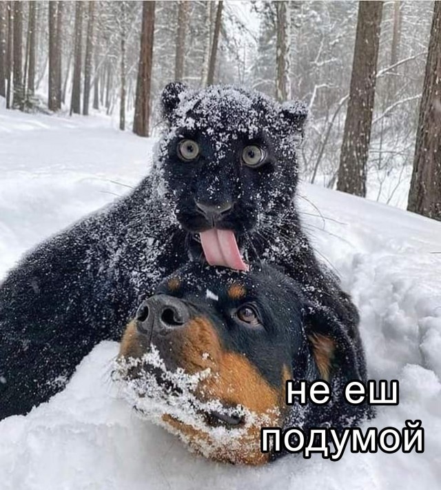 Октябрь, день десятый …