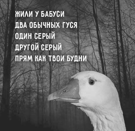 Надоела та бабуся - едем жить в город!⁠⁠