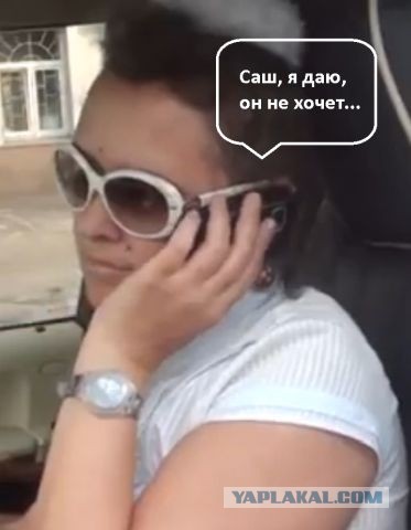 СтопХам 91 - Прыткий Чиновник