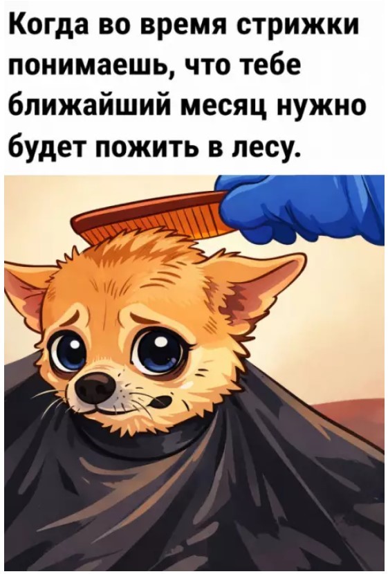 Так себе картинки 05.07.26