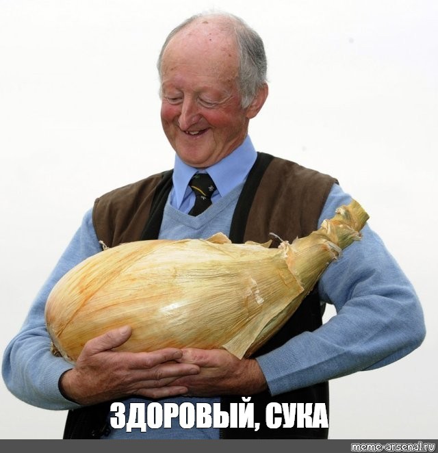 Как раз то, о чём он мечтал
