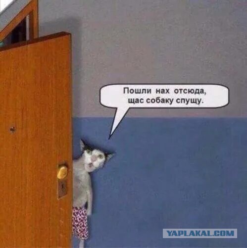 ДНК-тест