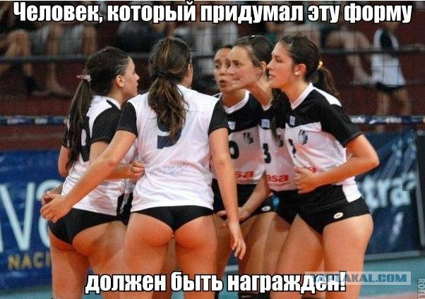 А вы ходили на выборы?