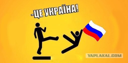 Беркут.