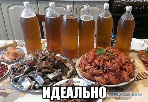 Маразмы месяца