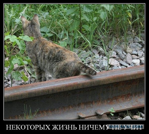 Роковая ошибка