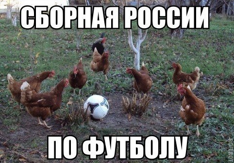 Домой