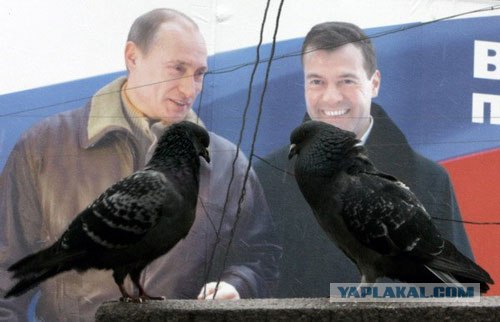 Самый правильный ракурс