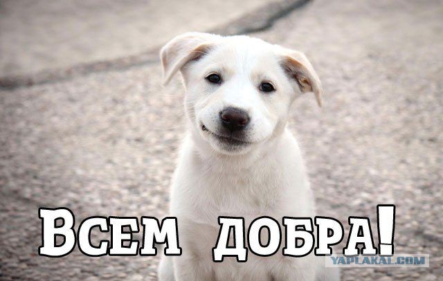 Как я рыбок пр*е*ал.
