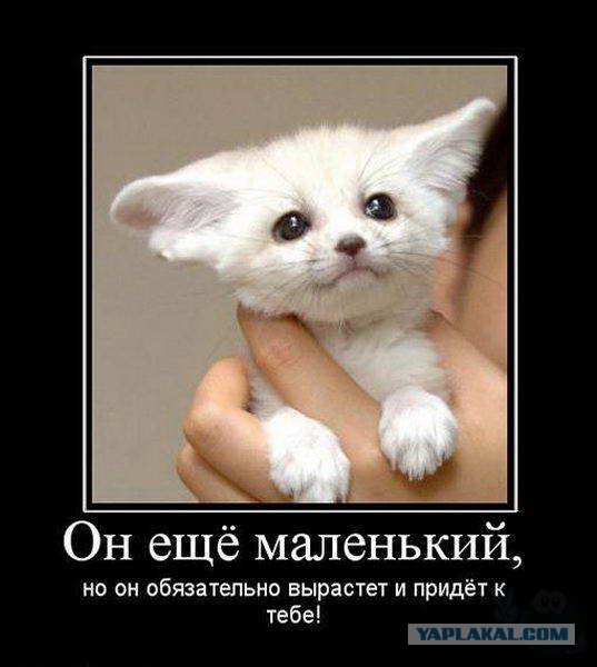 Внезапно испугался...