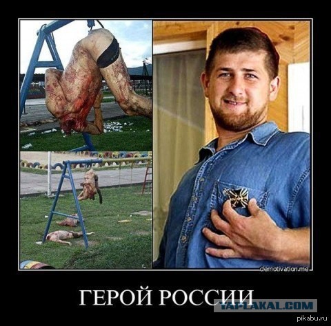 Обращение Чеченца к Зеленскому: