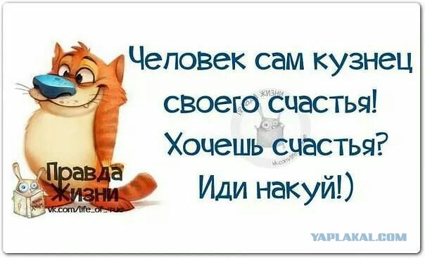 Весёлое из сети