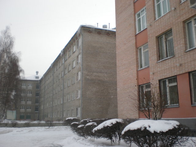 День электромеханика по лифтам.