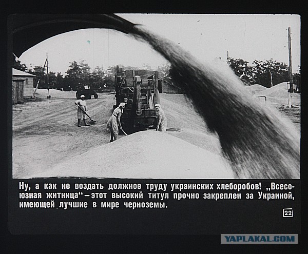 Слово за Украину