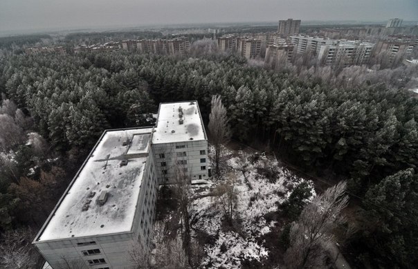 Несмотря на обстоятельства
