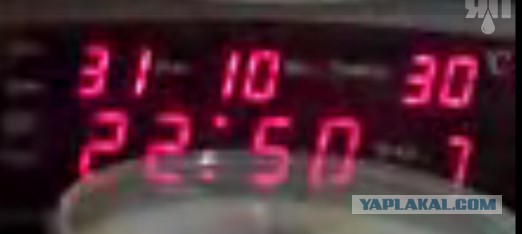 Вася тырит рыбу.